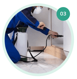 Pest Control Rawalpindi