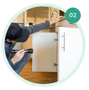 Pest Control Rawalpindi
