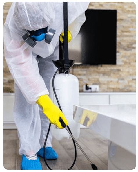 Pest Control Rawalpindi